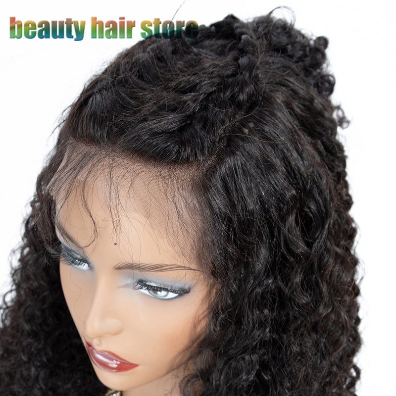 Brazilian Kinky Curly Lace Front Wigs