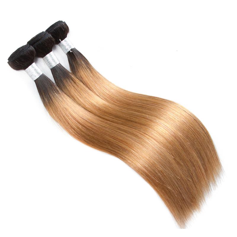 BeuMax 1B/27 Straight Hair BUNDLES with CLOSURES & FRONTALS Cerise Alfie