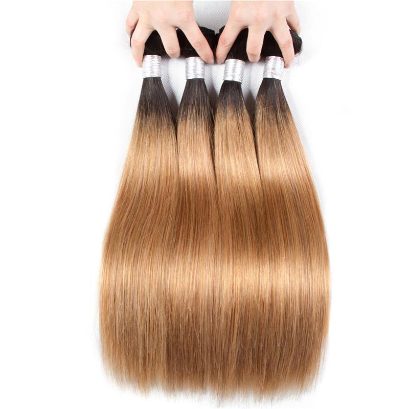 BeuMax 1B/27 Straight Hair BUNDLES with CLOSURES & FRONTALS Cerise Alfie