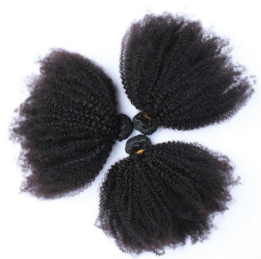 BeuMAX 10A Grade 3/4 Bundles Afro Kinky Curly Brazilian Human Hair Cerise Alfie